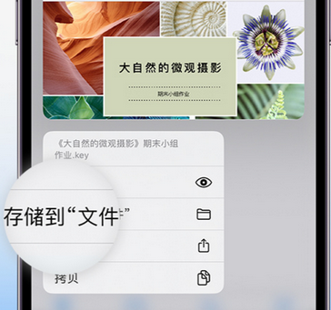 黄龙apple维修中心分享iPhone文件应用中存储和找到下载文件