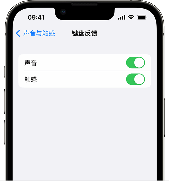 黄龙苹果14维修店分享如何在 iPhone 14 机型中使用触感键盘 