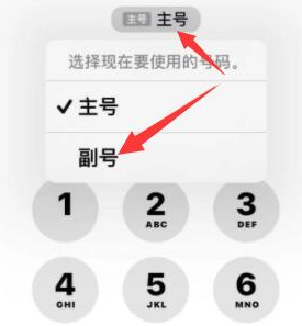 黄龙苹果14维修店分享iPhone 14 Pro Max使用副卡打电话的方法 