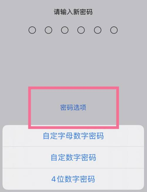 黄龙苹果14维修分享iPhone 14plus设置密码的方法 