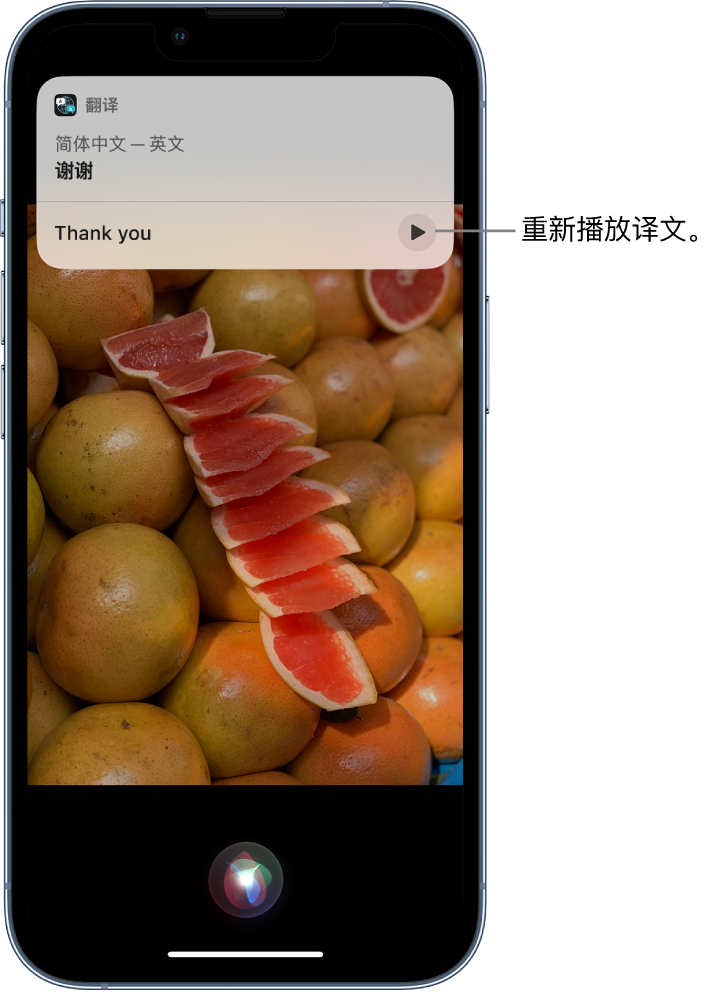 黄龙苹果14维修分享 iPhone 14 机型中使用 Siri：了解 Siri 能帮你做什么 